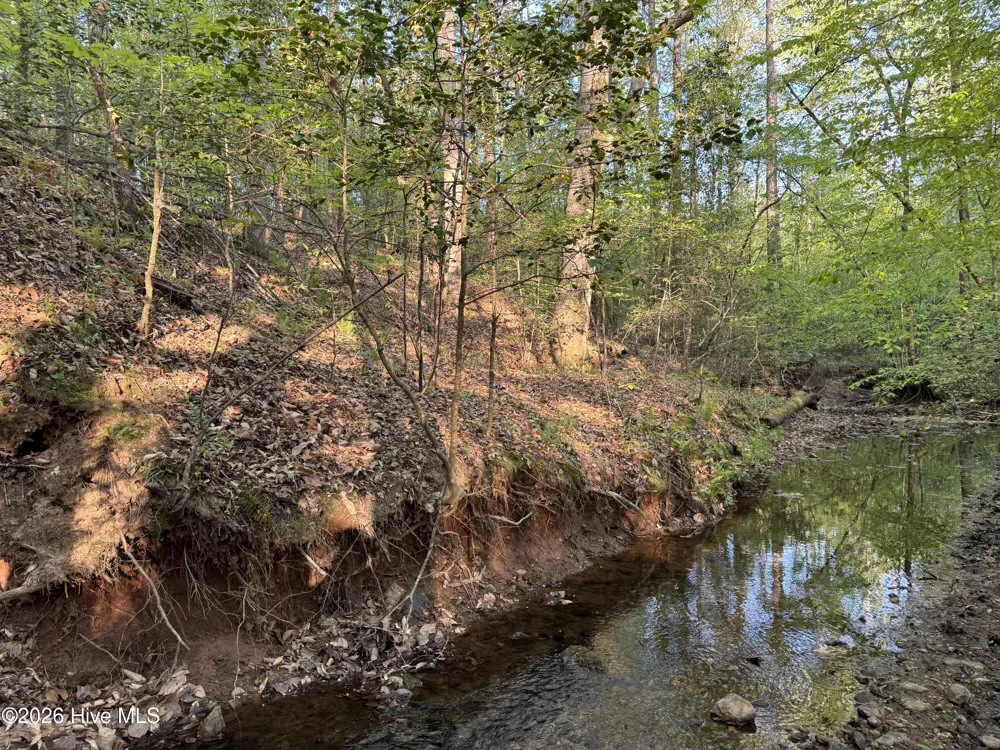 0 Cartledge Creek Road Rockingham, NC 28379