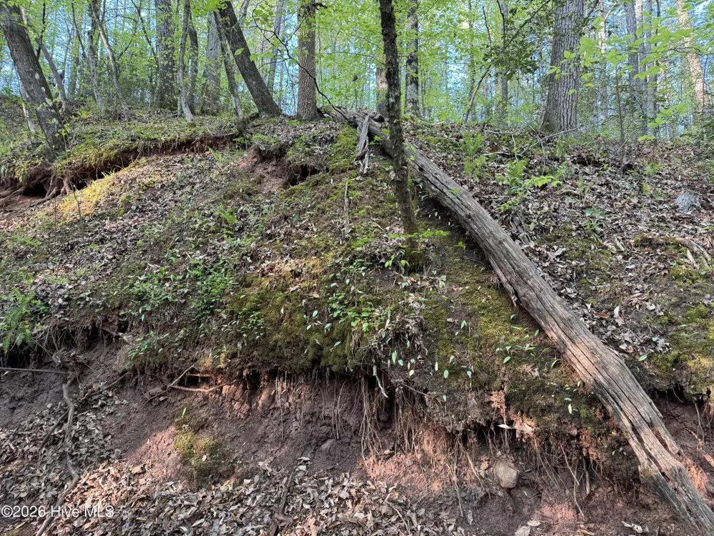 0 Cartledge Creek Road Rockingham, NC 28379