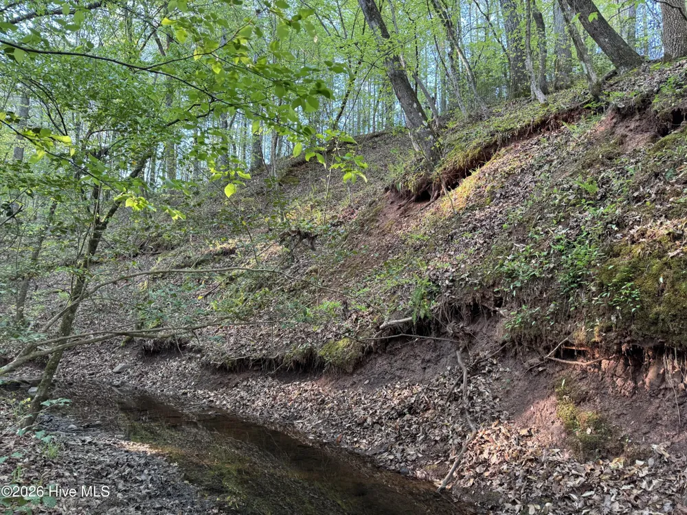 0 Cartledge Creek Road Rockingham, NC 28379