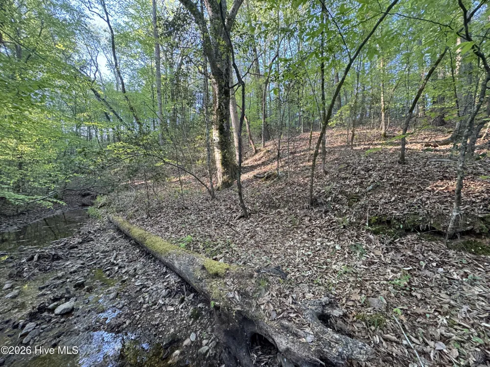 0 Cartledge Creek Road Rockingham, NC 28379