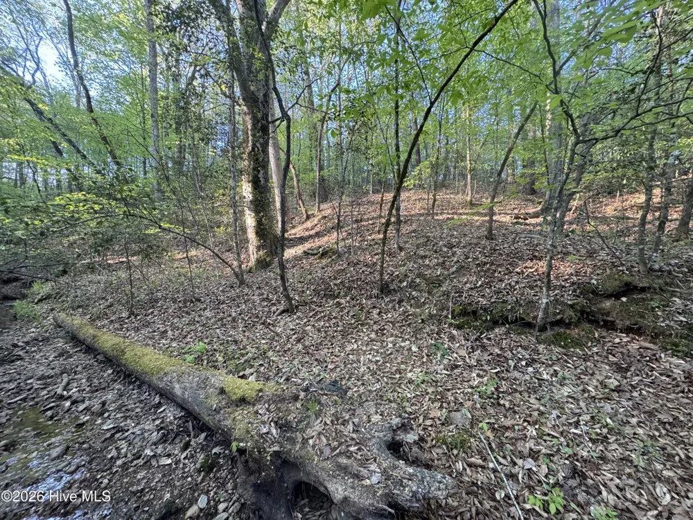 0 Cartledge Creek Road Rockingham, NC 28379