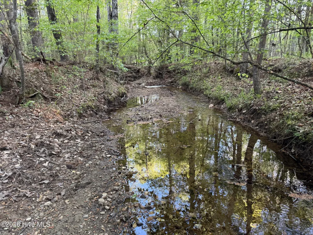 0 Cartledge Creek Road Rockingham, NC 28379