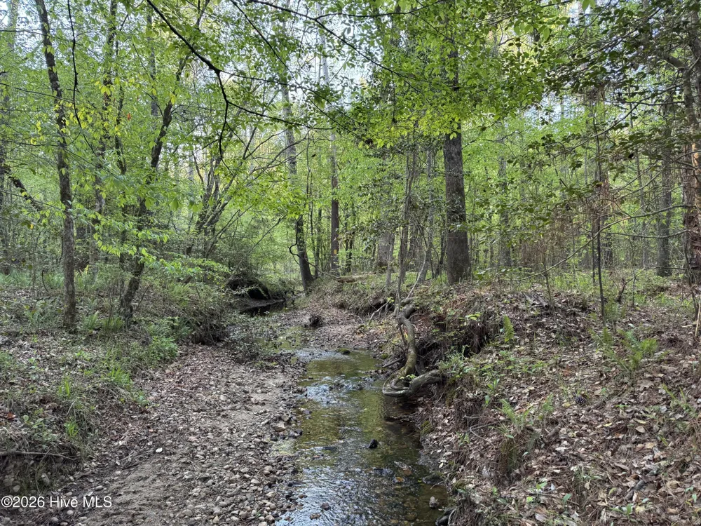 0 Cartledge Creek Road Rockingham, NC 28379