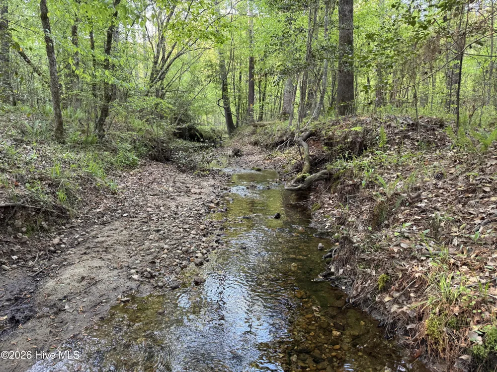0 Cartledge Creek Road Rockingham, NC 28379