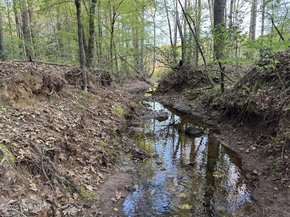 0 Cartledge Creek Road Rockingham, NC 28379