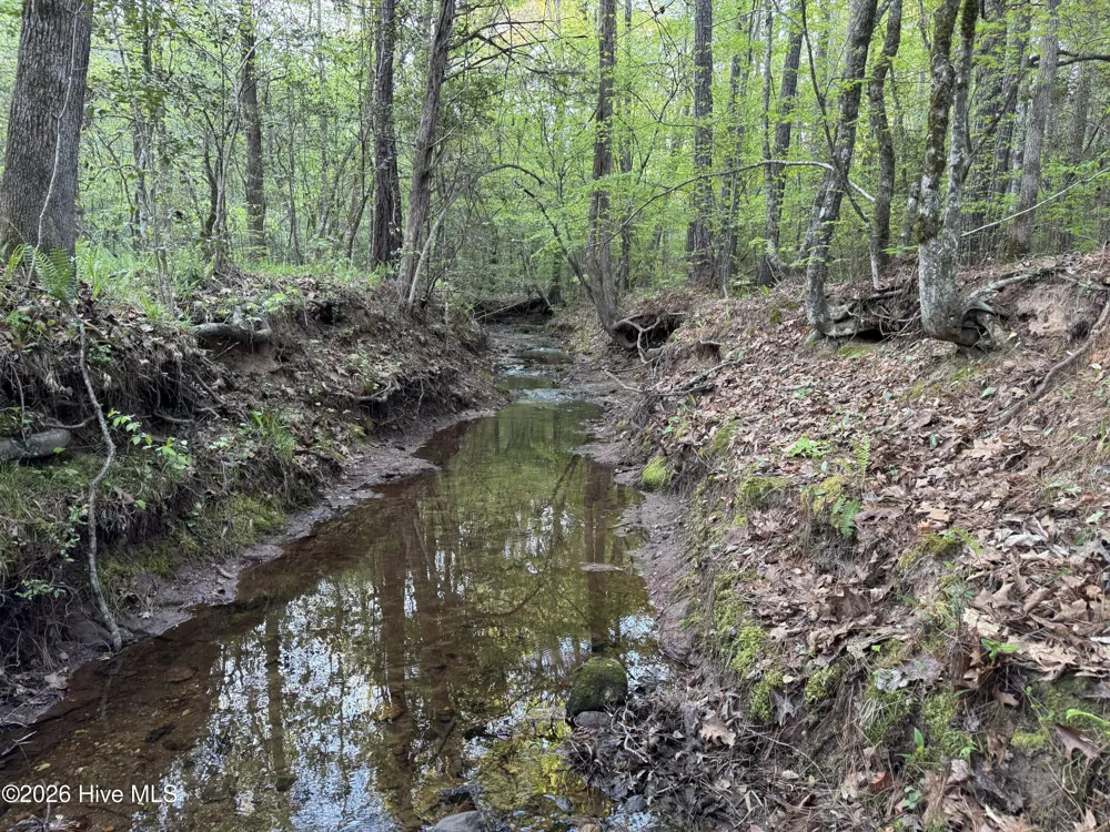0 Cartledge Creek Road Rockingham, NC 28379