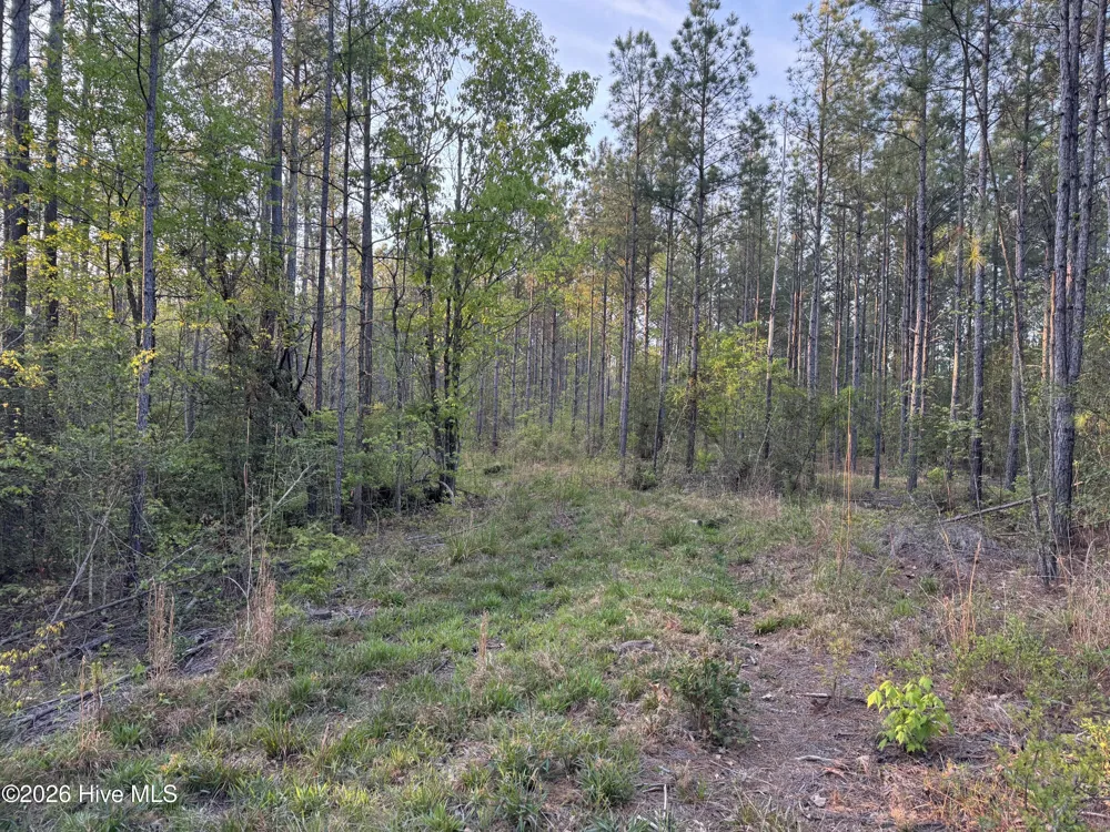 0 Cartledge Creek Road Rockingham, NC 28379