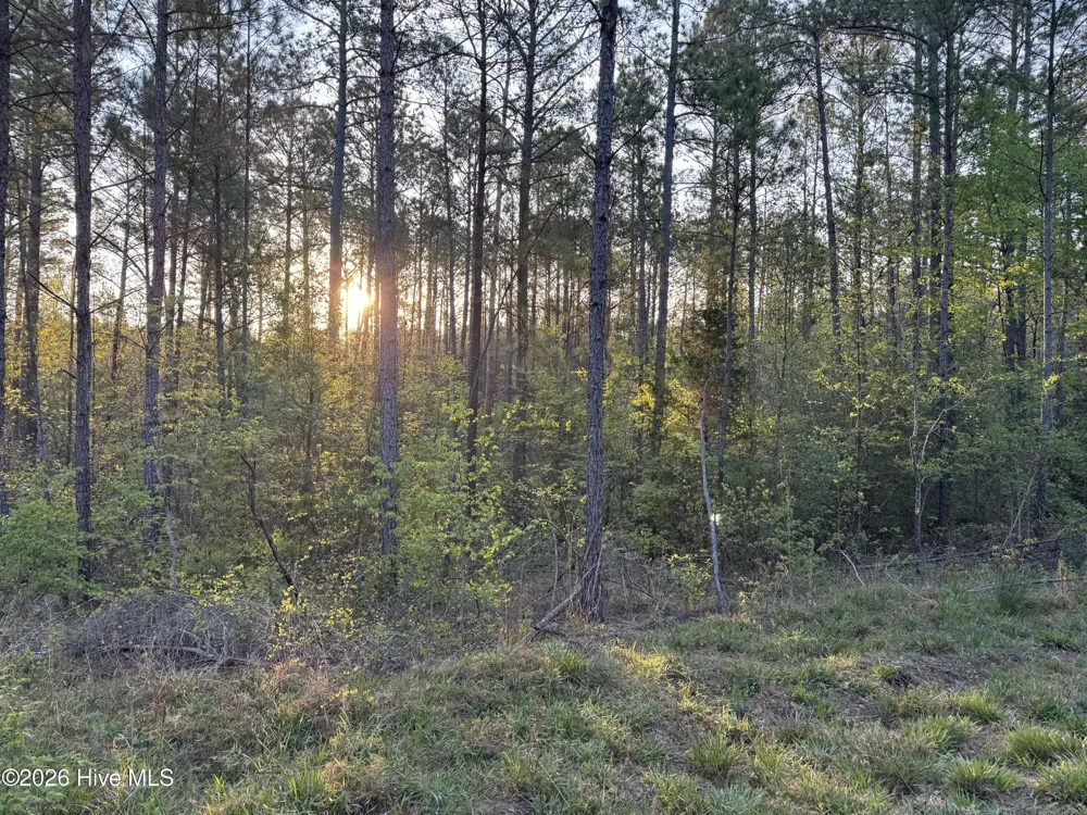 0 Cartledge Creek Road Rockingham, NC 28379