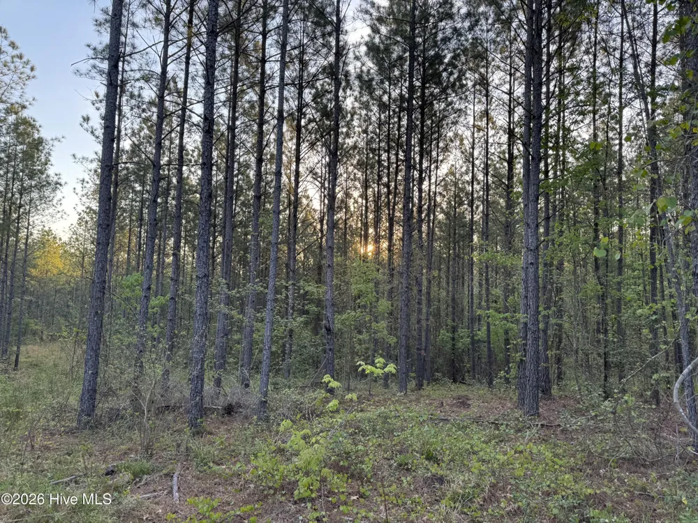 0 Cartledge Creek Road Rockingham, NC 28379