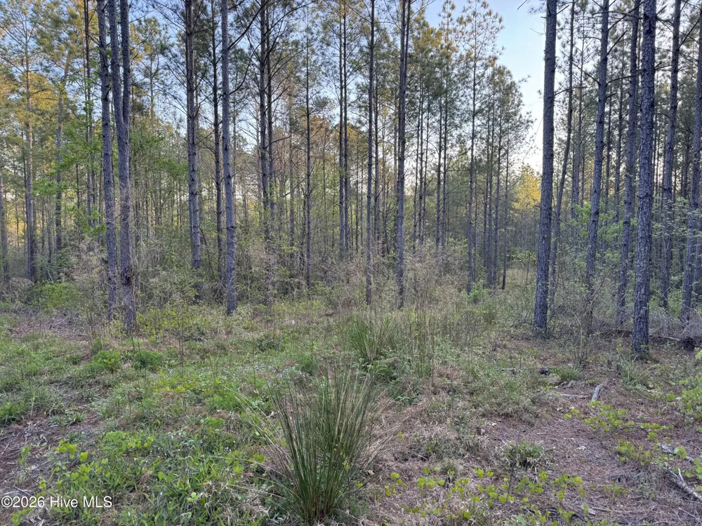 0 Cartledge Creek Road Rockingham, NC 28379