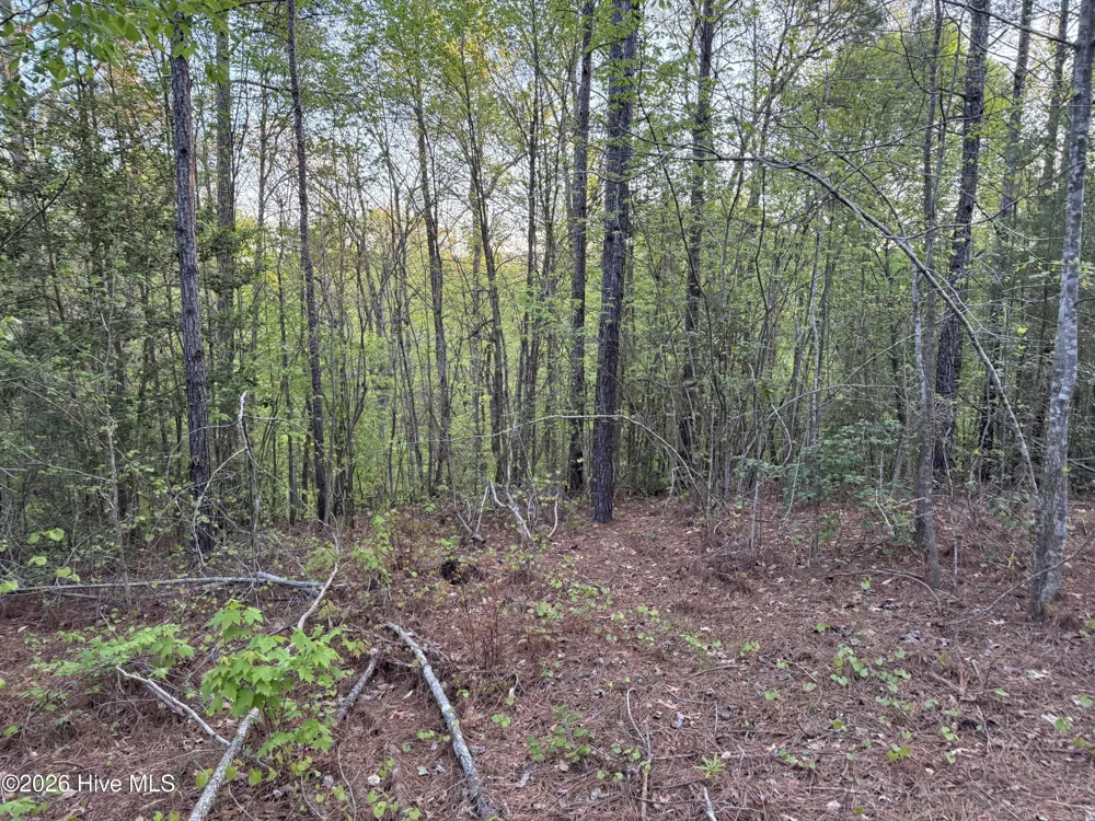 0 Cartledge Creek Road Rockingham, NC 28379