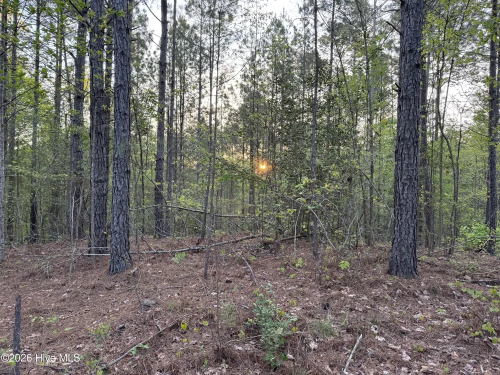 0 Cartledge Creek Road Rockingham, NC 28379