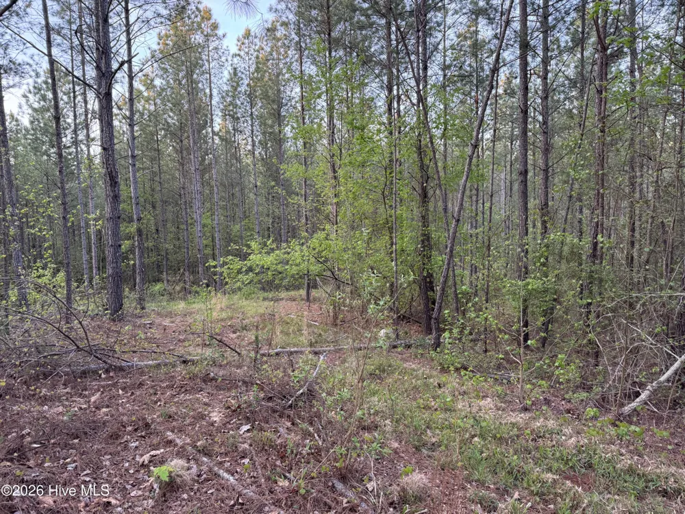 0 Cartledge Creek Road Rockingham, NC 28379