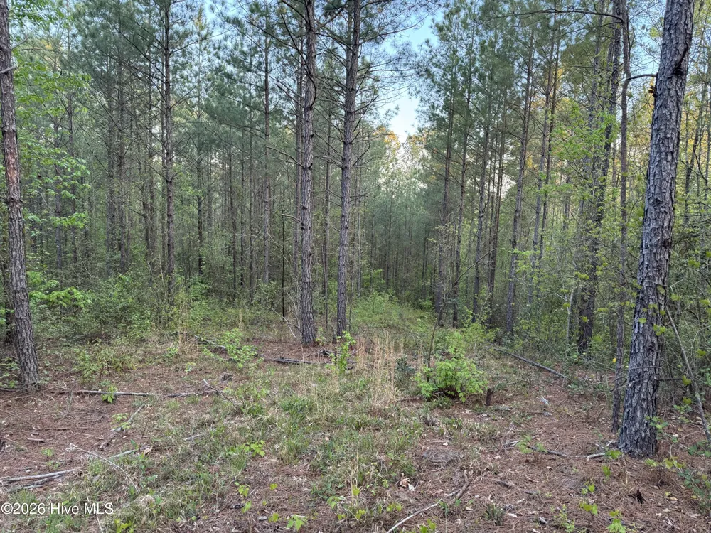 0 Cartledge Creek Road Rockingham, NC 28379