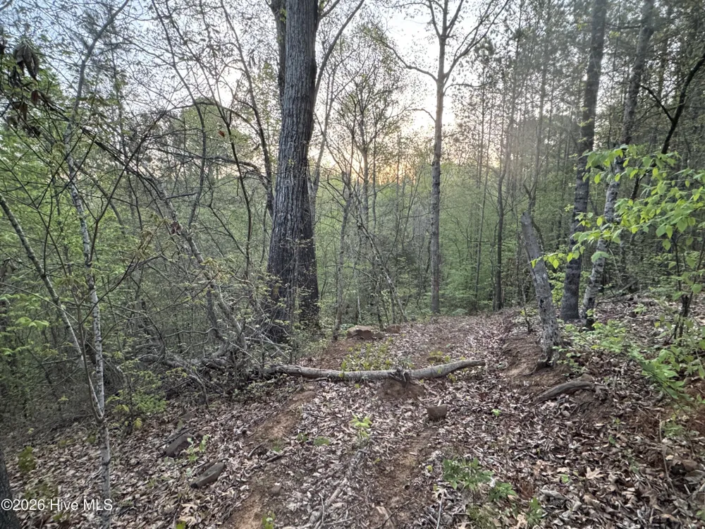 0 Cartledge Creek Road Rockingham, NC 28379