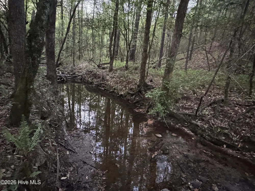 0 Cartledge Creek Road Rockingham, NC 28379
