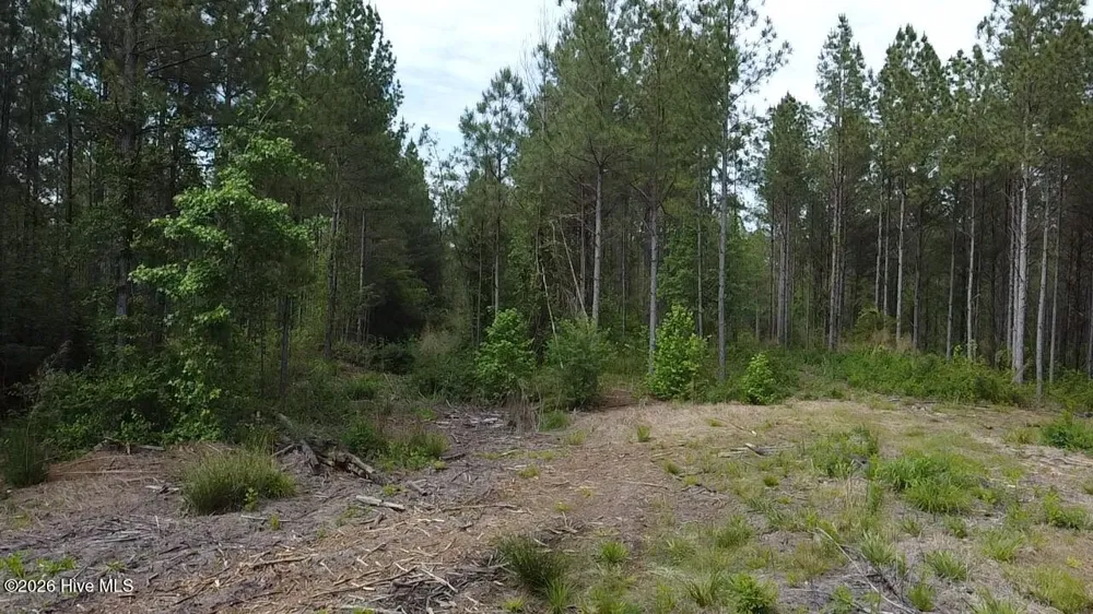 0 Cartledge Creek Road Rockingham, NC 28379