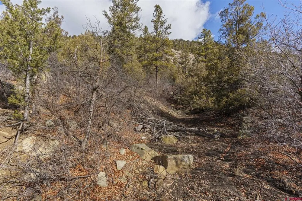 24800 Us Highway 160 Bayfield, CO 81122