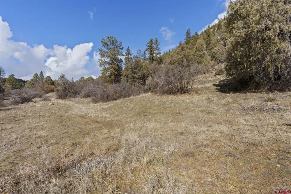 24800 Us Highway 160 Bayfield, CO 81122