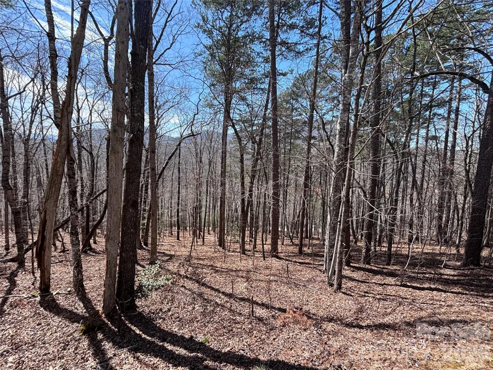 Lot 55-3 Fontana Loop S Bryson City, NC 28713