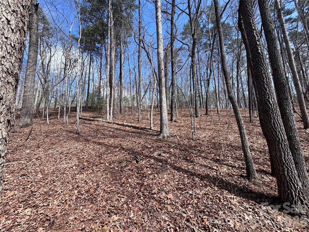 Lot 55-3 Fontana Loop S Bryson City, NC 28713