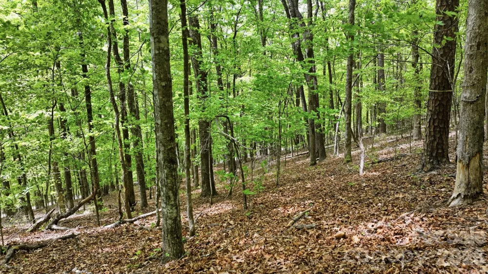 Lot 55-3 Fontana Loop S Bryson City, NC 28713
