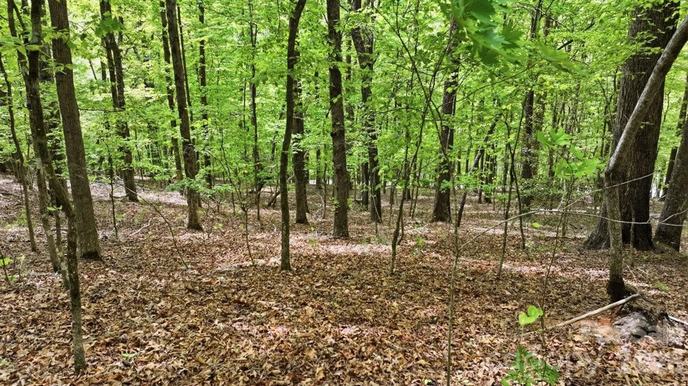 Lot 55-3 Fontana Loop S Bryson City, NC 28713