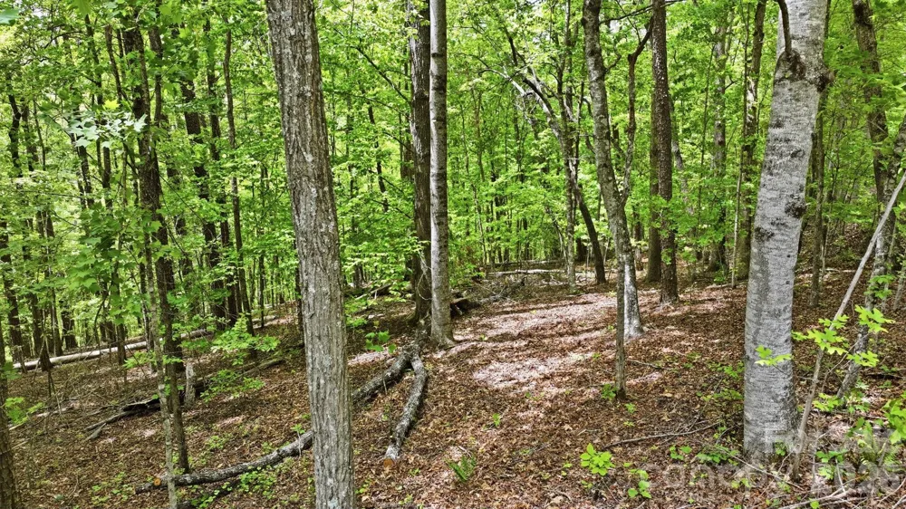 Lot 55-3 Fontana Loop S Bryson City, NC 28713