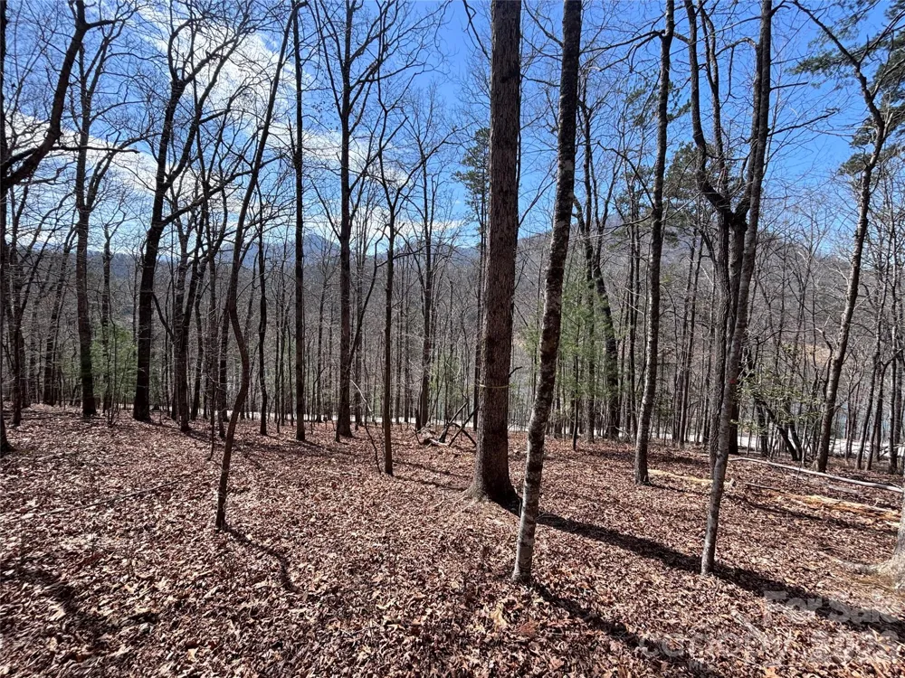 Lot 55-3 Fontana Loop S Bryson City, NC 28713