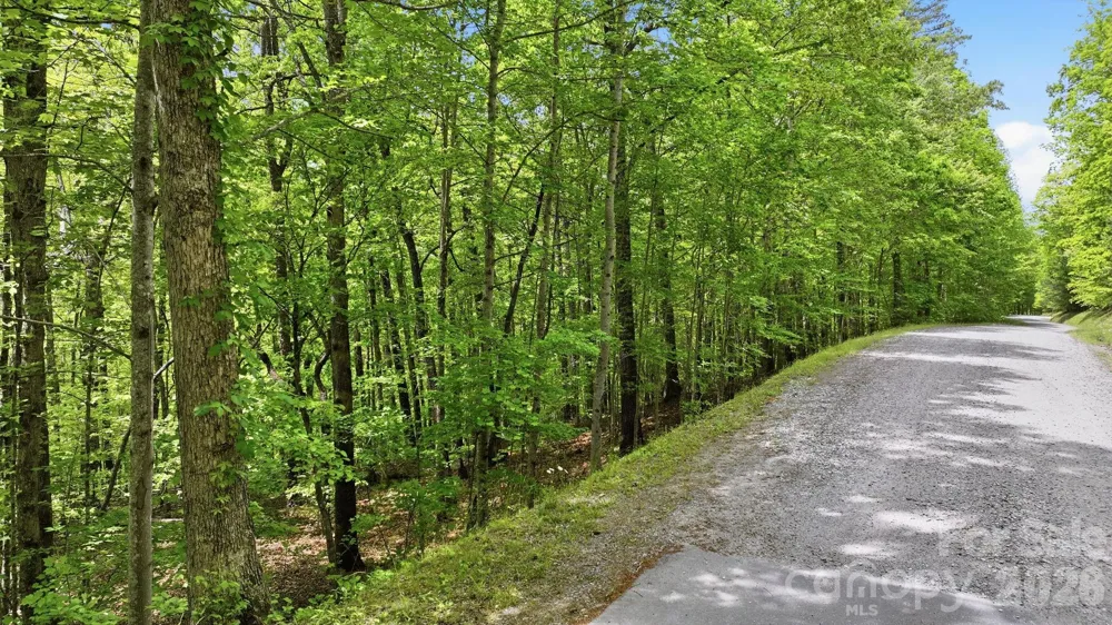 Lot 55-3 Fontana Loop S Bryson City, NC 28713
