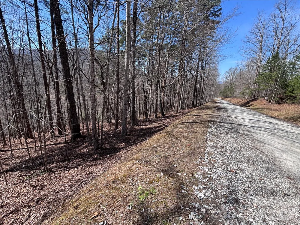 Lot 55-3 Fontana Loop S Bryson City, NC 28713
