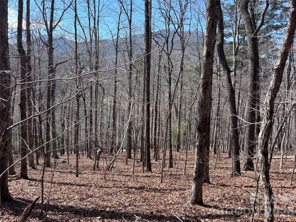 Lot 55-3 Fontana Loop S Bryson City, NC 28713