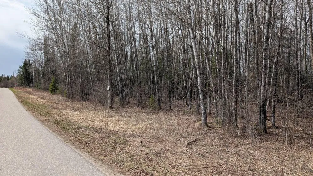 Lot 5 Lund Road Cook, MN 55723