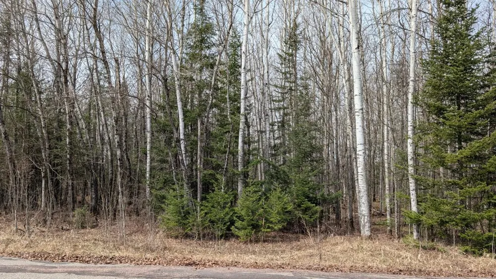 Lot 6 Lund Road Cook, MN 55723