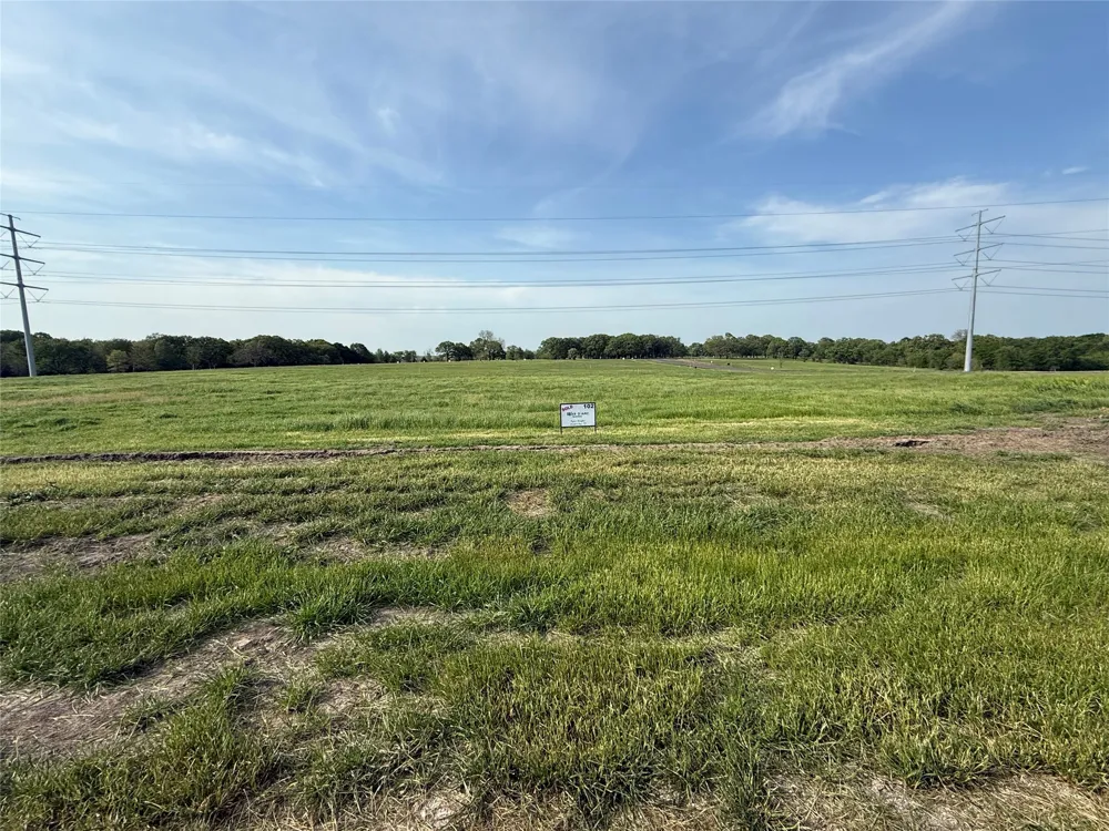 235 Wildflower Way Dodd City, TX 75438