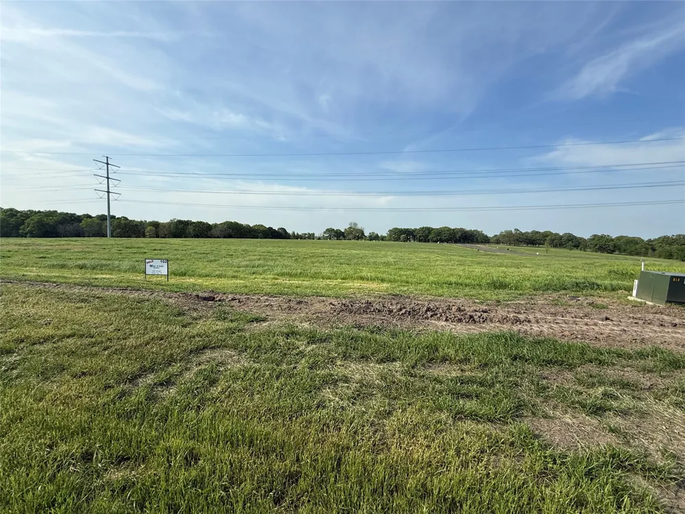 235 Wildflower Way Dodd City, TX 75438