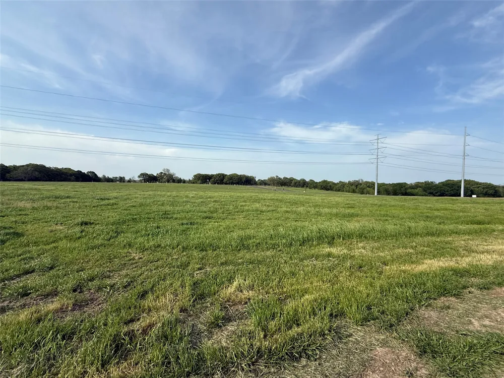 235 Wildflower Way Dodd City, TX 75438