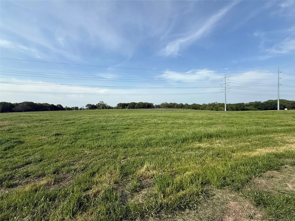 235 Wildflower Way Dodd City, TX 75438