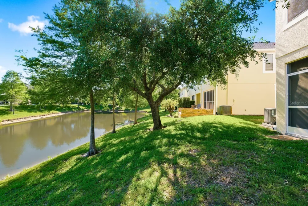 336 HARBOR RIDGE DRIVE Palm Harbor, FL 34683