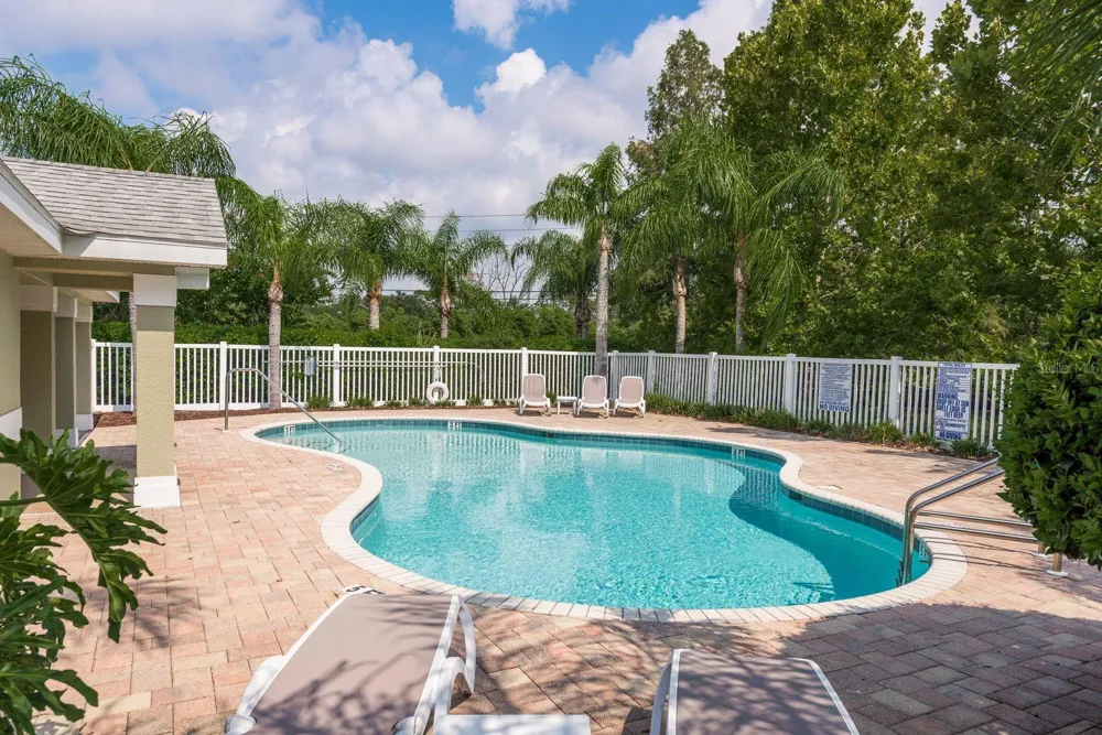 336 HARBOR RIDGE DRIVE Palm Harbor, FL 34683