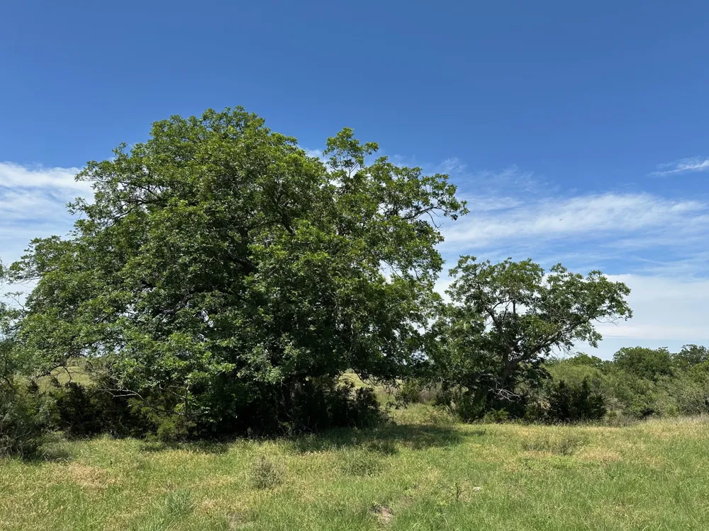 23 County Road 330 Bertram, TX 78605