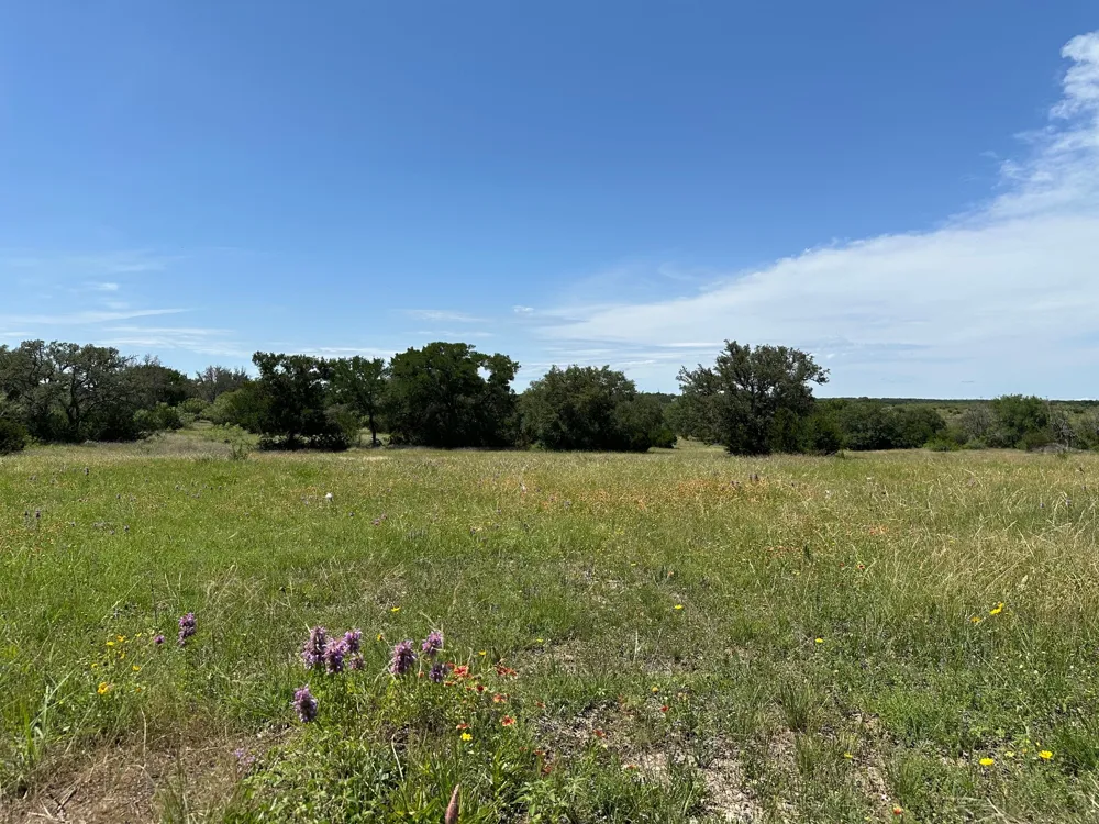 23 County Road 330 Bertram, TX 78605