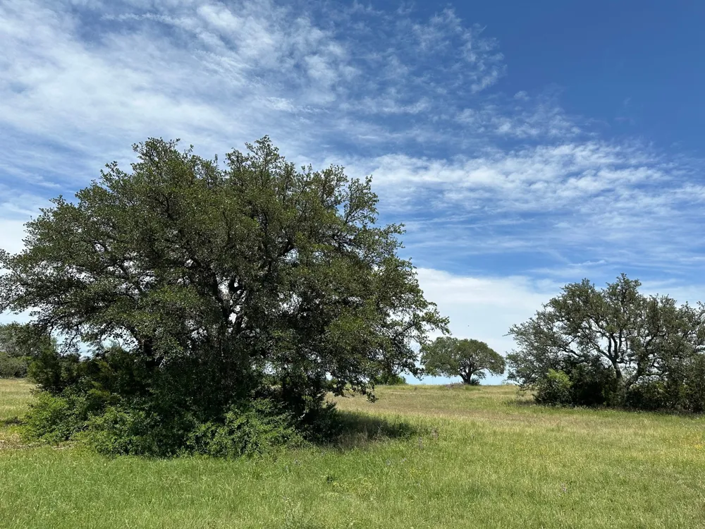 23 County Road 330 Bertram, TX 78605