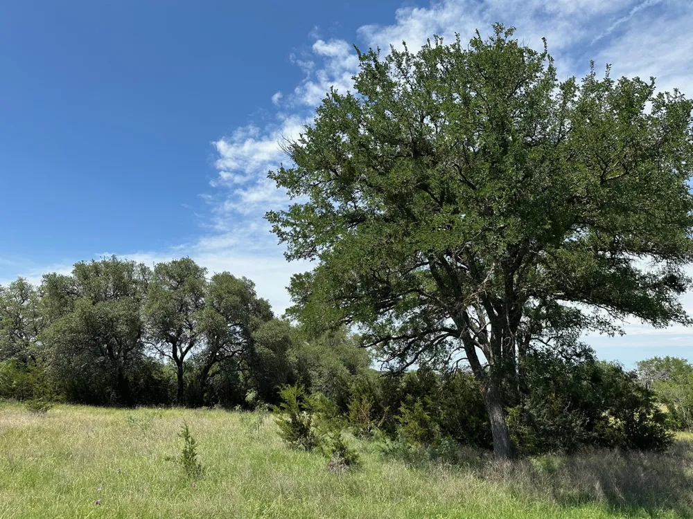 23 County Road 330 Bertram, TX 78605