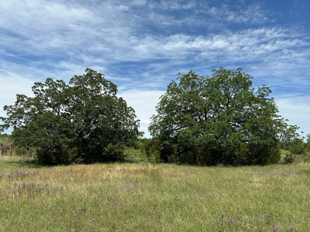 23 County Road 330 Bertram, TX 78605