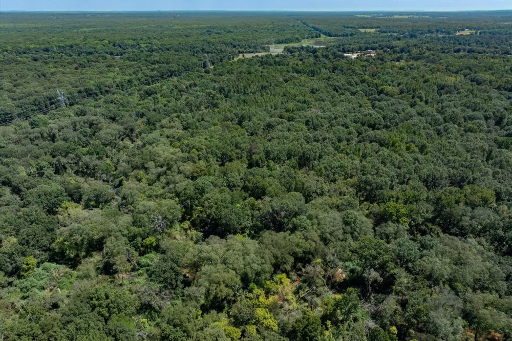 Hwy 69 / CR 484 Mineola, TX 75773