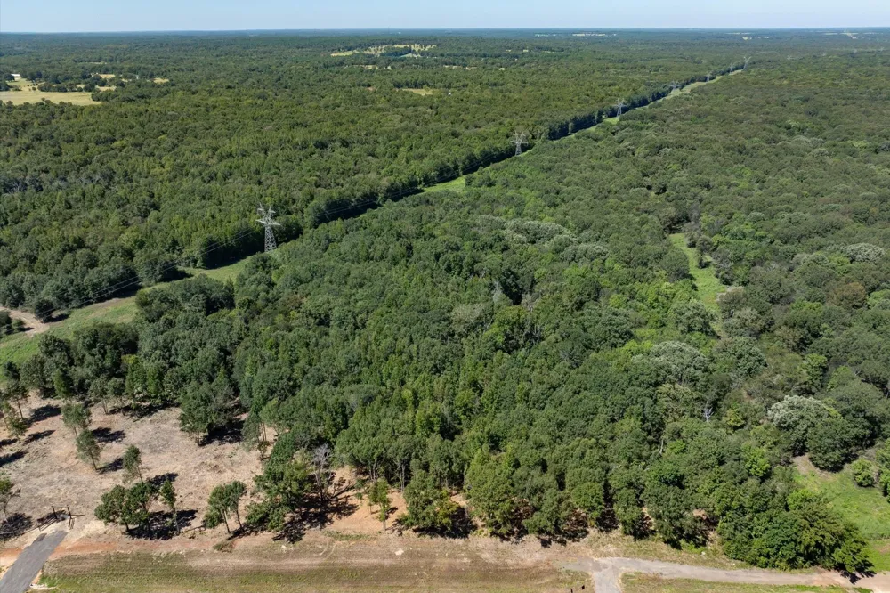Hwy 69 / CR 484 Mineola, TX 75773