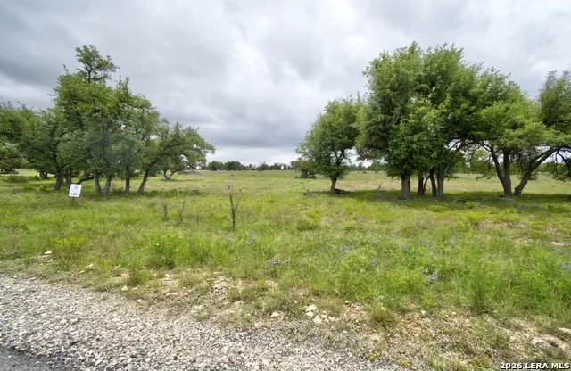 LOT 106 Oryx View Drive Harper, TX 78631