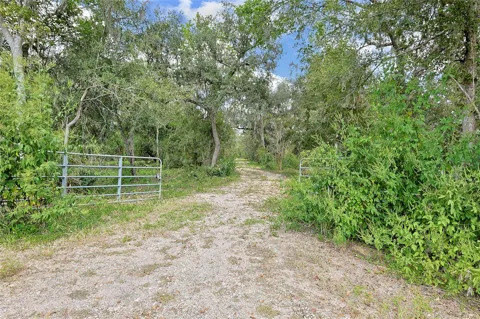 6306 County Road 244
