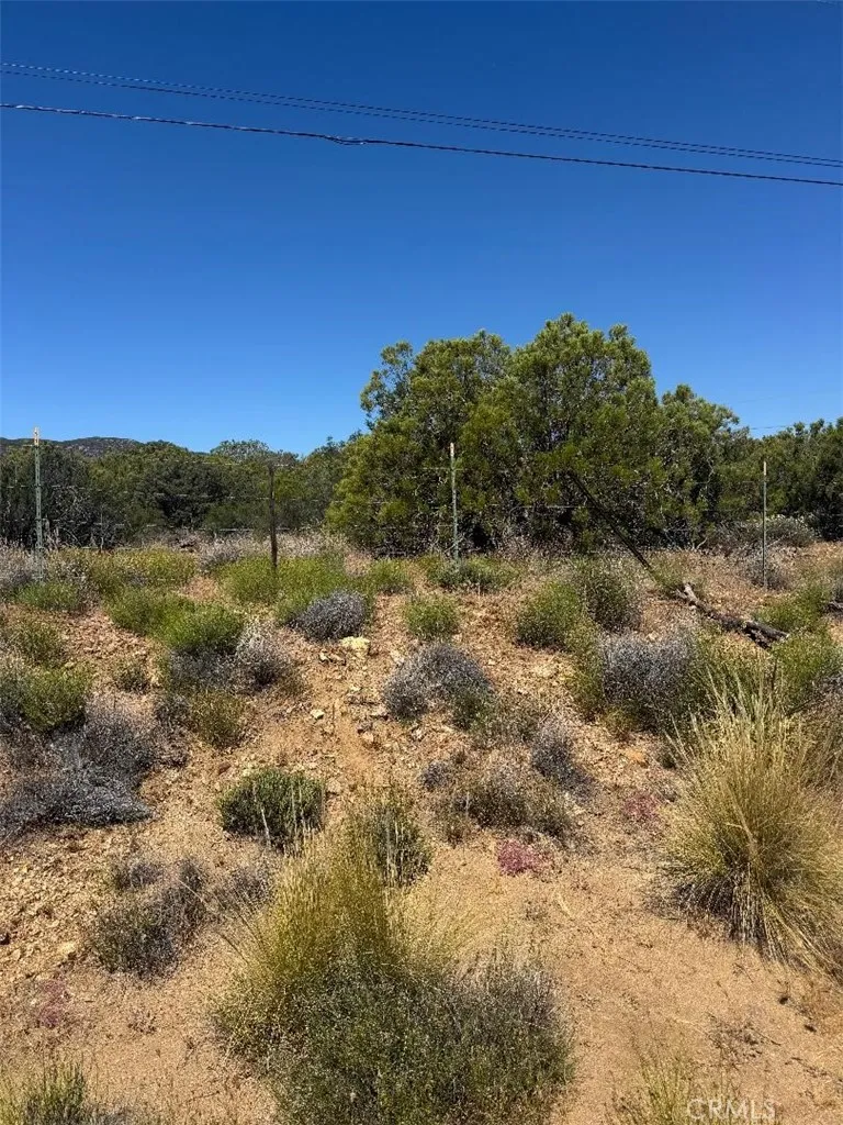 Upper Tule Anza, CA 92539